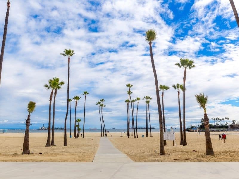 boardwalk in front of a beach with palm trees and people walking on the beach