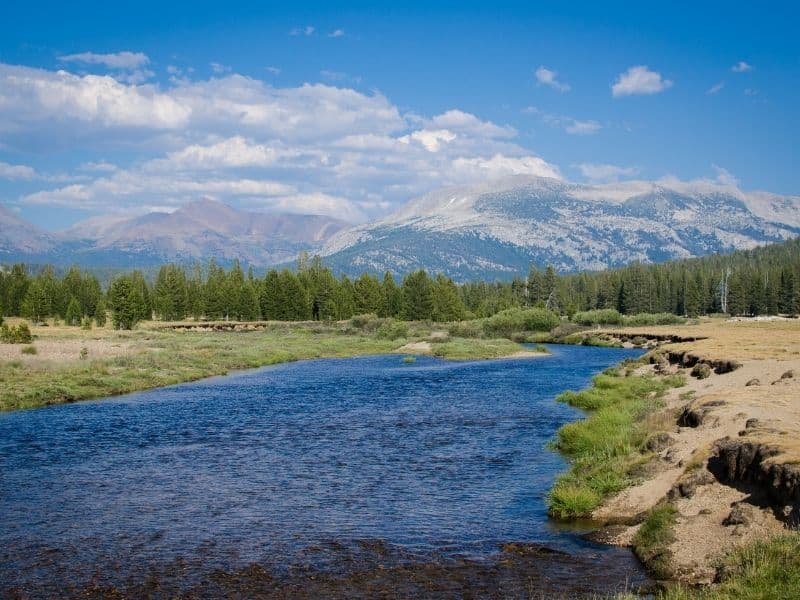 tuolumne river as seen in tuolumne meadows with beautiful water and sunny sky with some clouds