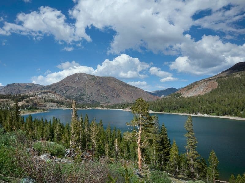 view of tioga lake on a partly cloudy day driving tioga pass