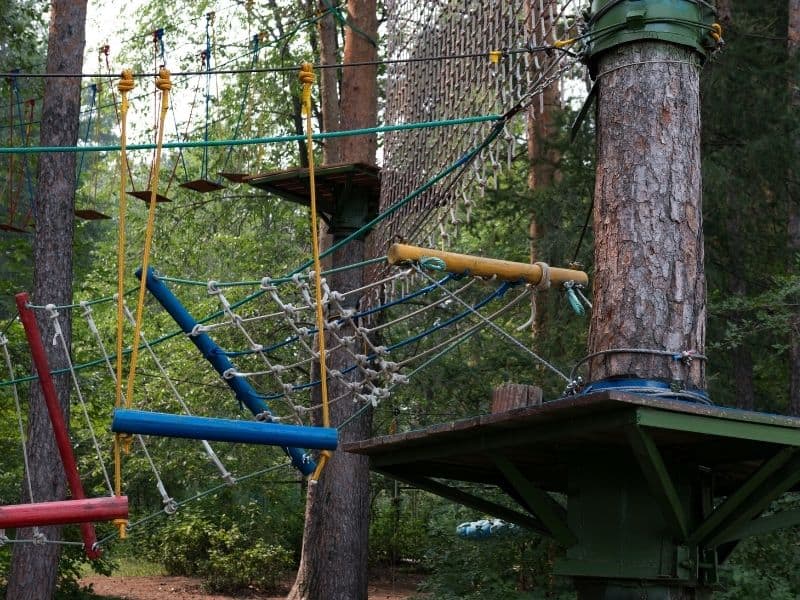 an obstacle course set in the treetops with climbing equipment