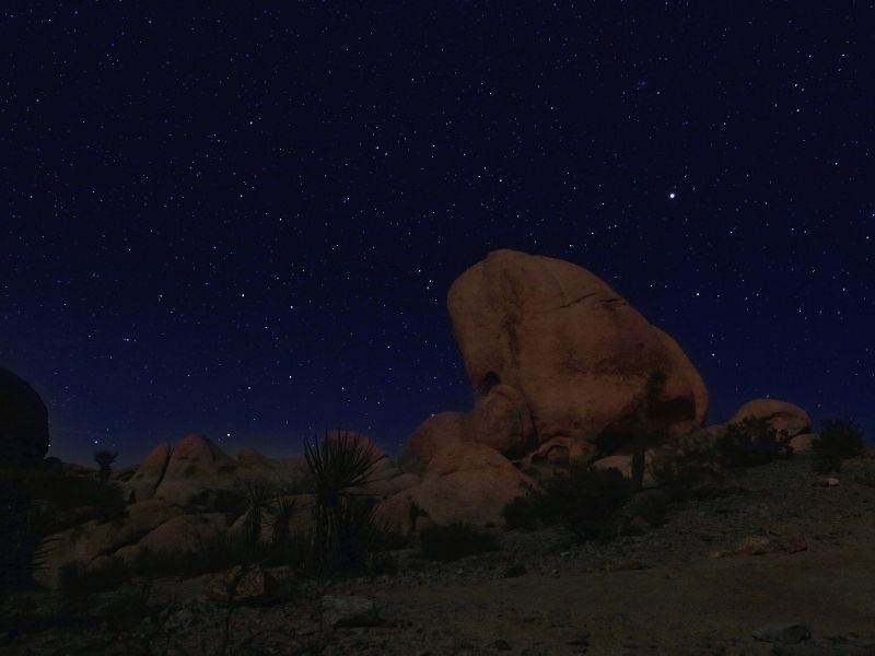 stars in the night sky in joshua tree national park with yucca trees and big rocks