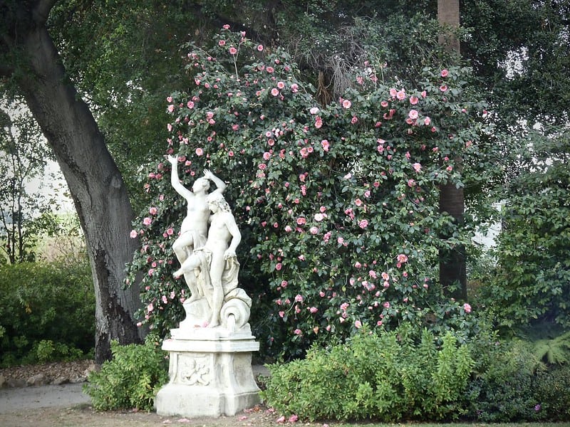 two sculptures of young children or girls next to a camellia bush