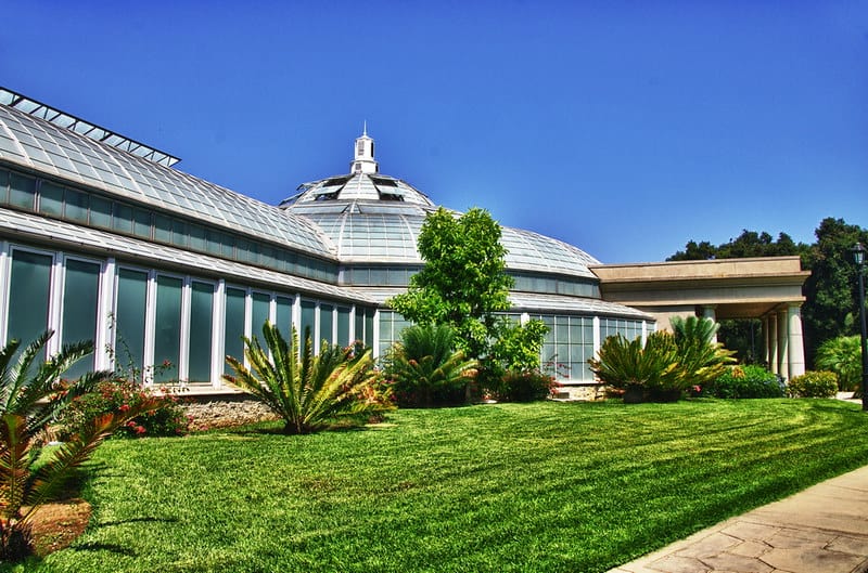 green grass recently mowed in front of a glass-paned conservatory building