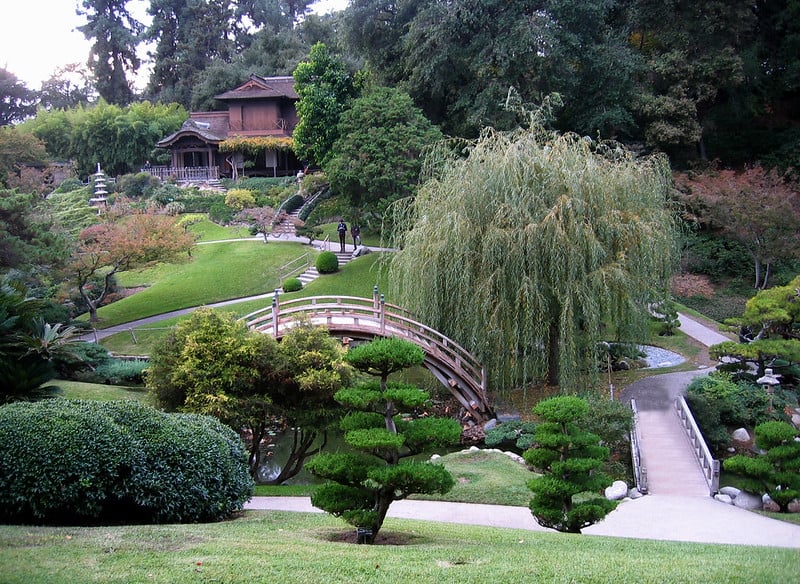 arched rond bridge, willow tree, small walkways and Japanese style gardens at the huntingon library and gardens