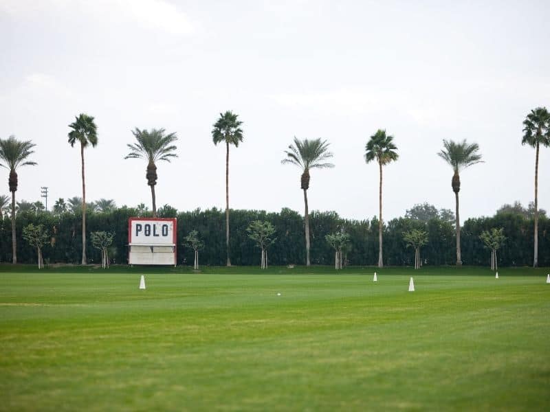 polo field in indio with palm trees behind it