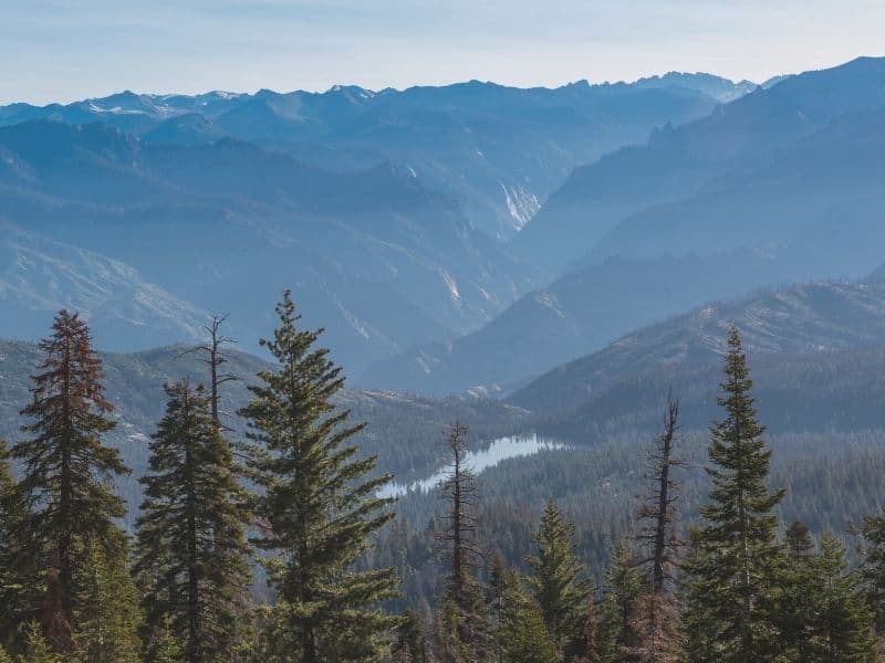 looking over the view at kings canyon national park