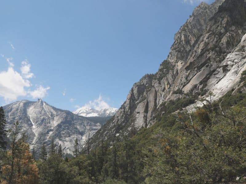 cedar grove section of kings canyon national park