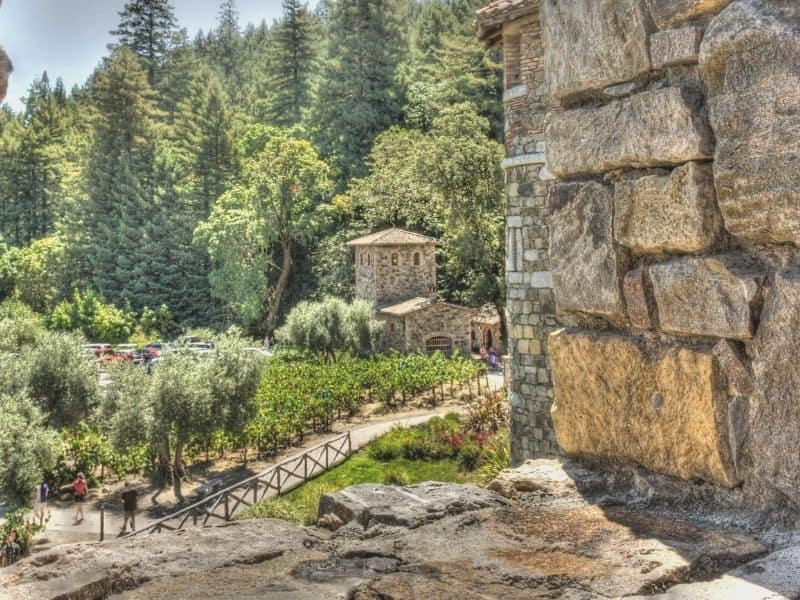 view from inside the castello di amorosa wine tasting experience in Calistoga california during napa in winter