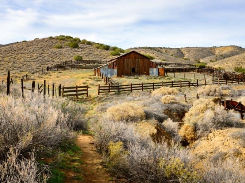 small abandoned barn like structure in the carrizo plain national monument protected land