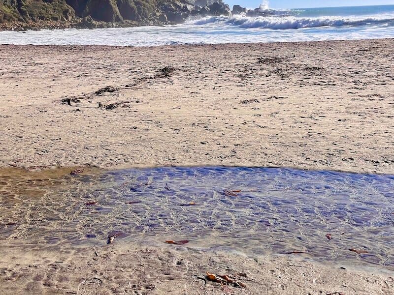 purple sand in the creek water at pfeiffer beach