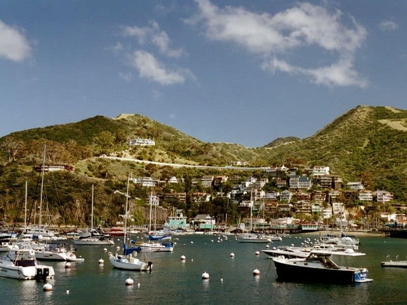 the marina at avalon in california's catalina island