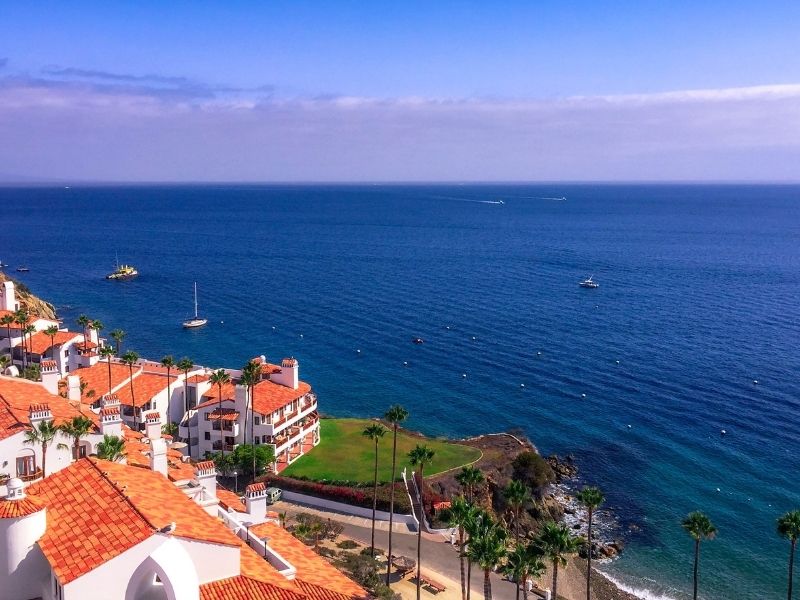 avalon catalina view of red rooftops and blue sea