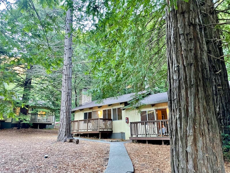 a cabin in the woods of Big Sur lodge