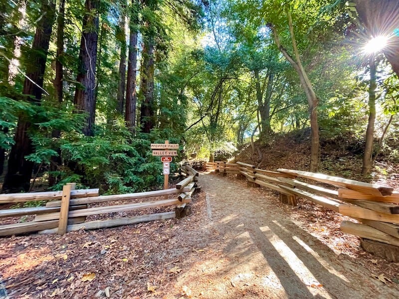 sign at a fork in the trail, one way leads to Pfeiffer falls and the other ways leads to valley view overlook