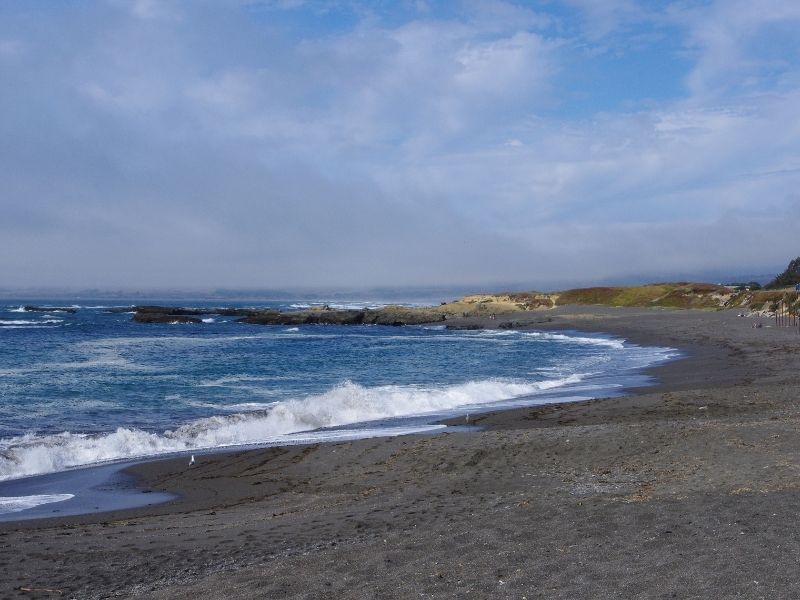 view of a beach in mackerricher state park