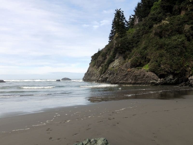 rugged beach next to a cliff covered in trees in california