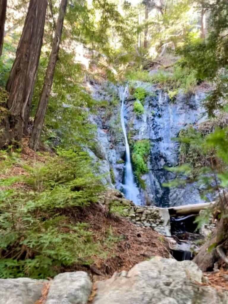 pfeiffer falls as seen from another angle surrounded by forest flora