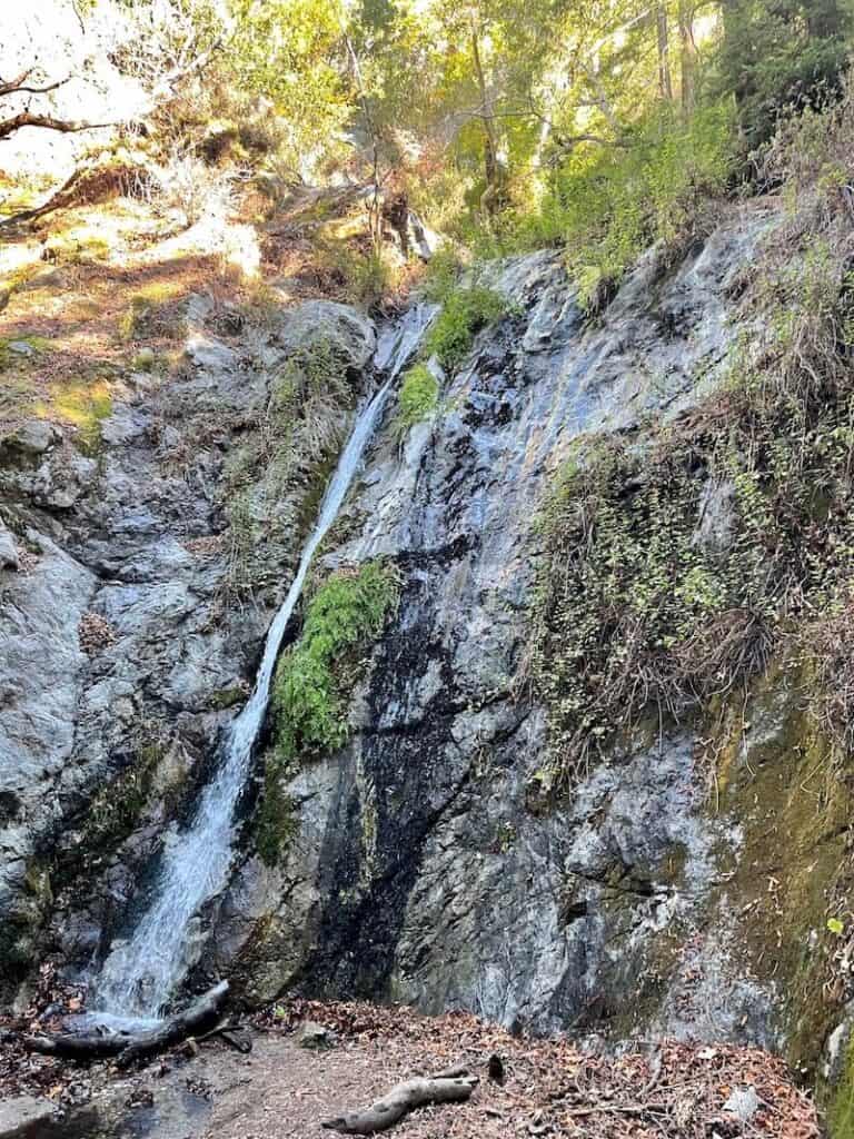 the waterfall at pfeiffer falls as seen in late fall after some moderate rain