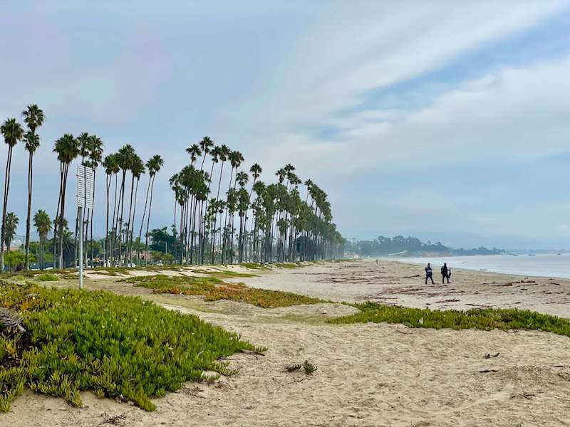 two people walking on an empty beach in the fall with palm trees and blue skies