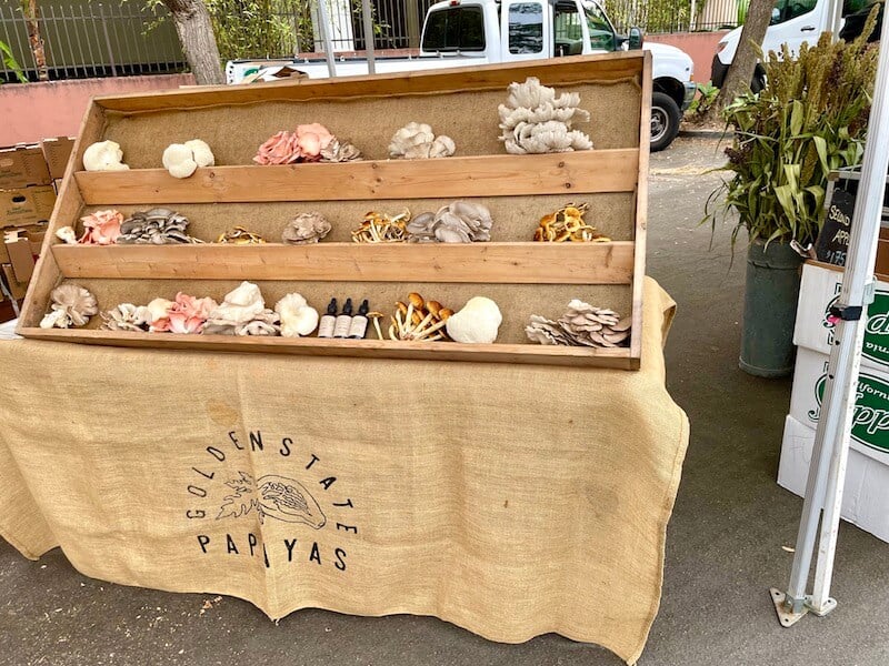 various mushrooms for sale at a farmers market