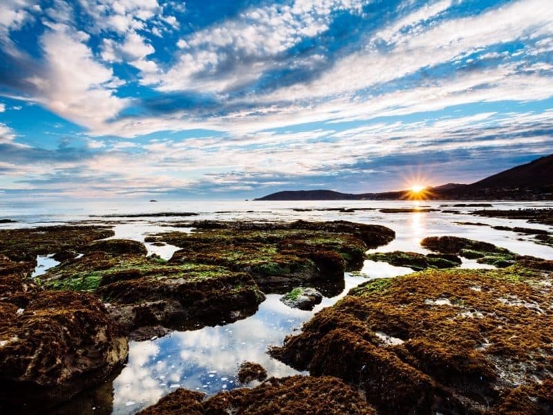 sun setting over coastline at shell beach san luis obispo