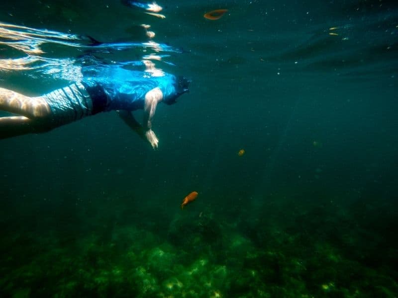 snorkeling on catalina island