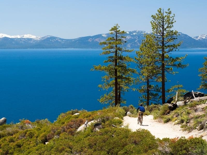 a person mountain biking in lake tahoe