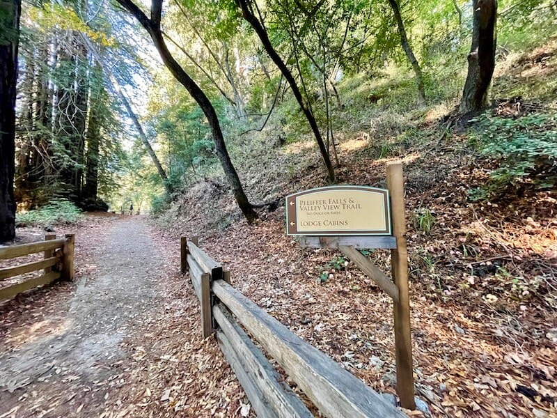 the trailhead sign for pfeiffer falls and valley view trail among trees and redwoods