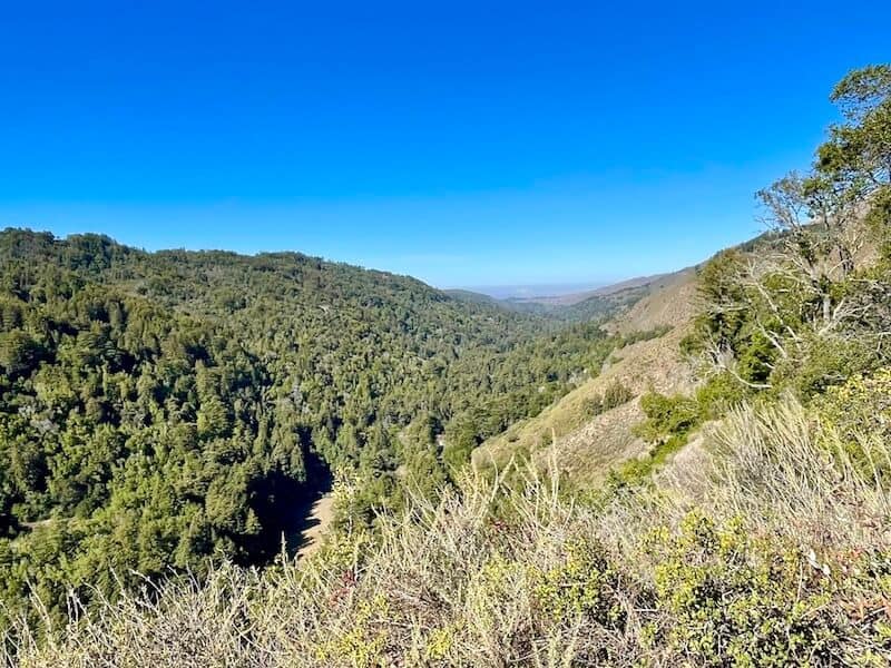 the view at the end of the valley view trail in big sur