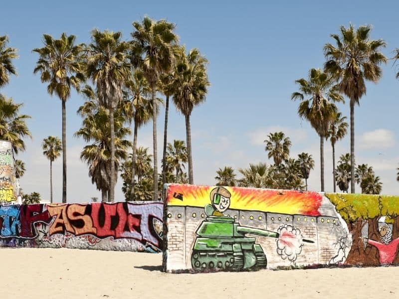 palm trees and graffiti on Venice Beach