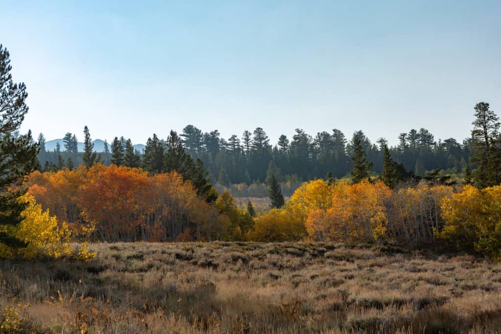 Less traveled roads in Bishop, California