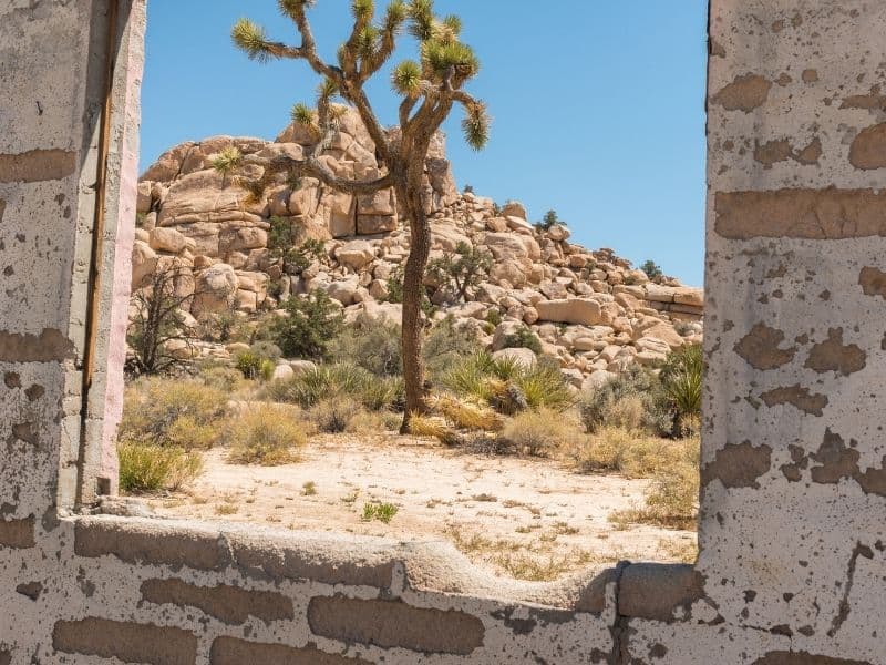 view through the brick and mortar of an old building at the wall street mill in Joshua tree