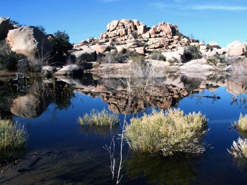 the waters of barker dam at Joshua tree with brush and rock formations in the distance on a sunny day