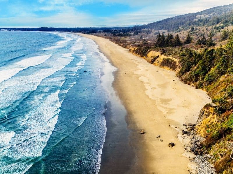 the crescent beach overlook in redwood national park california