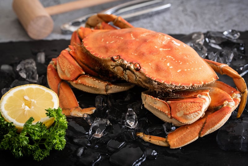 boiled dungeness crab 