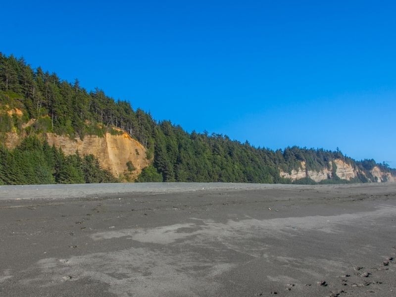 Golden yellow bluffs and nearly black sand along the beach in California, part of redwood national park