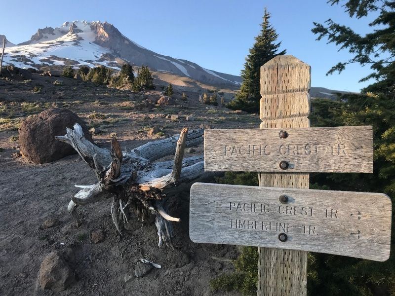 Sign for the pacific crest trail with a mountain in the background