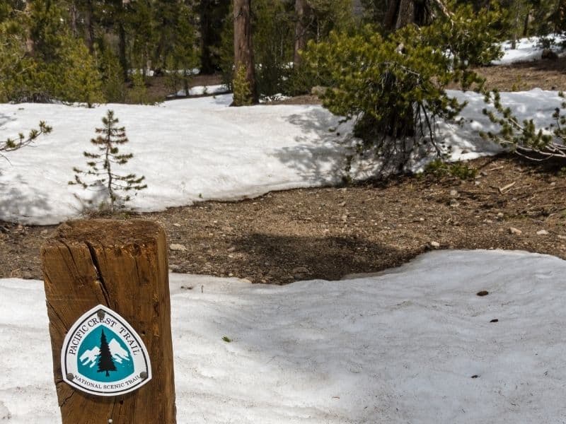 A triangular sign that reads pacific crest trail sticking out of snowpack with a visible packed trail nearby