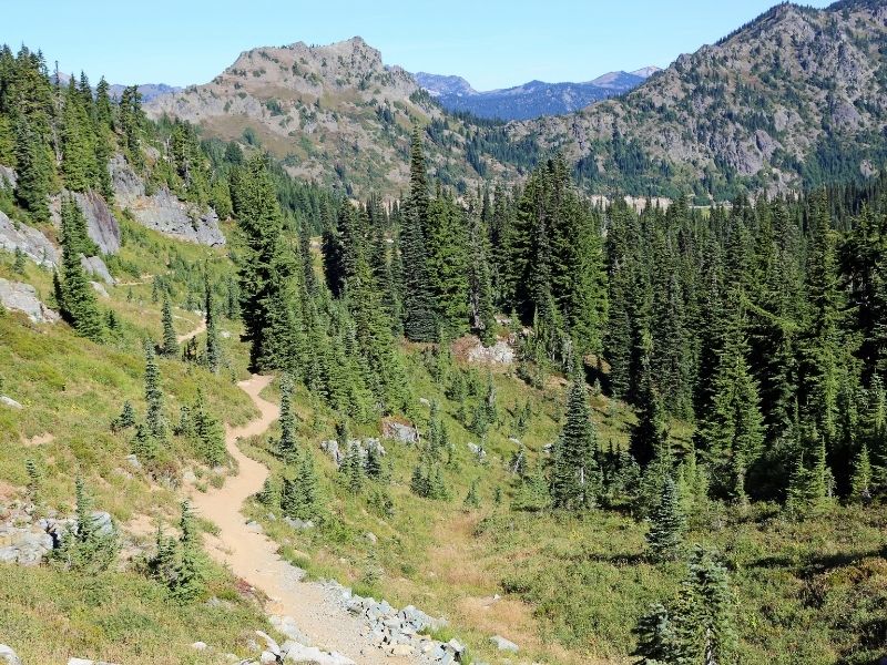 mountains in Washington with pines and a trail visible taking you along the pct thru hike