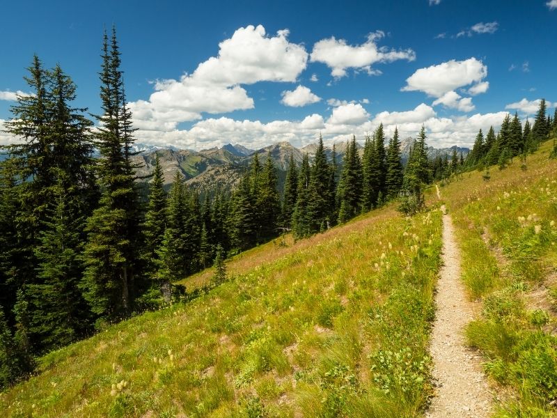 a partly cloudy day on a thru hike on the pct towards Washington 