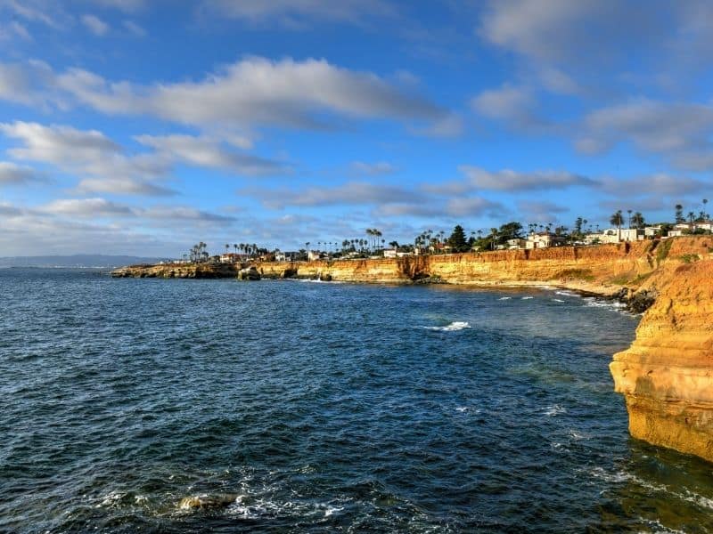 view of the ocean at sunset cliffs in san diego with palm trees and houses along the cliff edge
