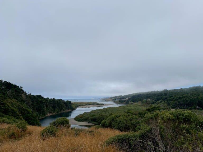 10 Things to Do in Gualala, CA A Beautiful Stop on Highway 1