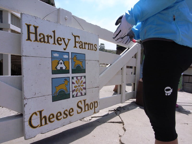 person in white gloves, black pants and blue jacket entering a gate where it says harley farms cheese shop