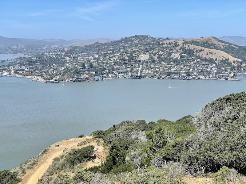 Marin County houses on Belvedere island and tiburon and sausalito as seen from Sunset Trail on Angel Island